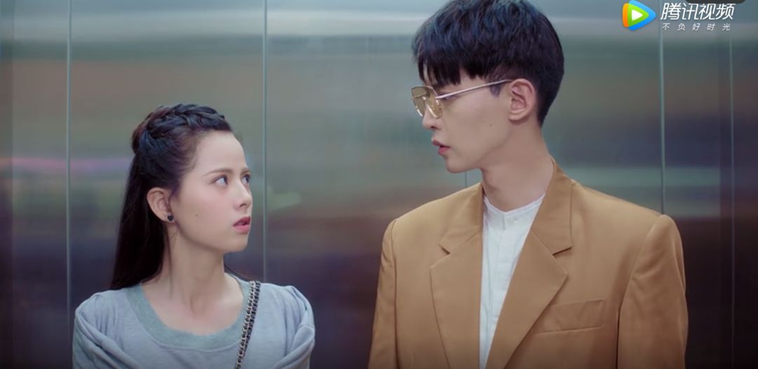 惹上冷殿下|动物管理局_新浪新闻