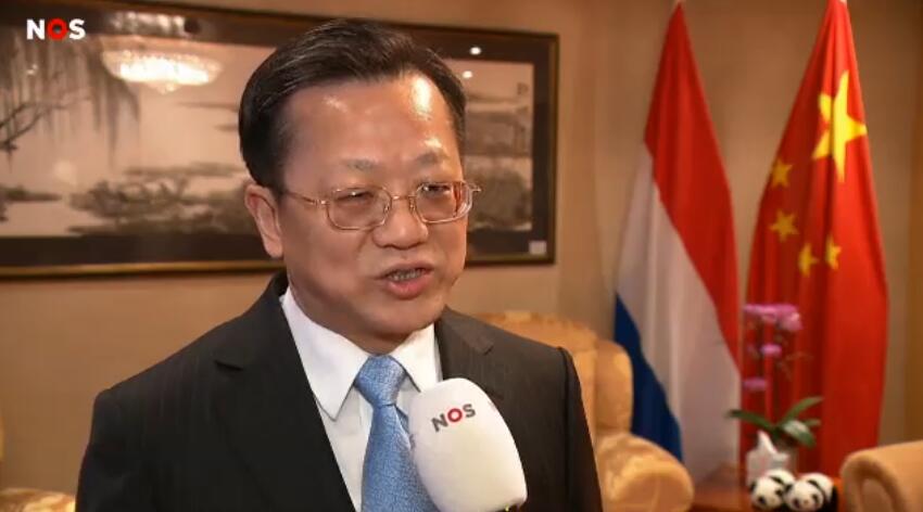 徐宏大使接受荷兰国家电视台采访 视频截图
