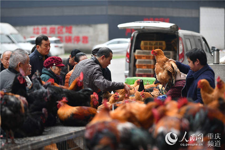 重庆年货购物节走红外国友人“朋友圈”