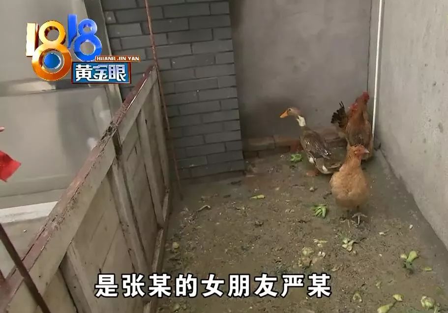 三更半夜带着女朋友去做这种偷鸡摸狗的事情,你的良心不会痛吗?