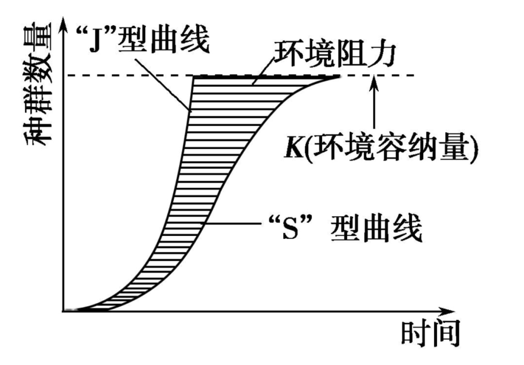 s型增长率的图像分析图片