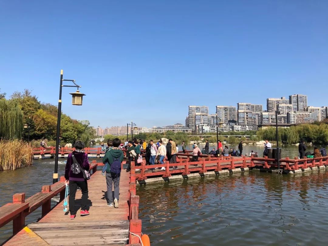 西安天气十分舒爽.蓝天白云下,市民在曲江池遗址公园享受冬日的暖阳.