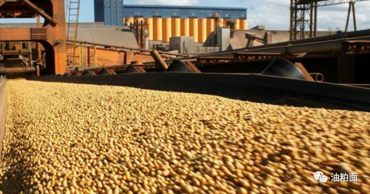 养猪业从非洲猪瘟中恢复过来,中国10月大豆进口同比猛增41%_手机新浪