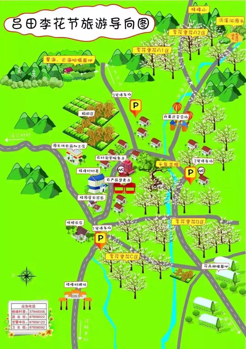 李花似雪!从化吕田李花旅游文化节,约起!