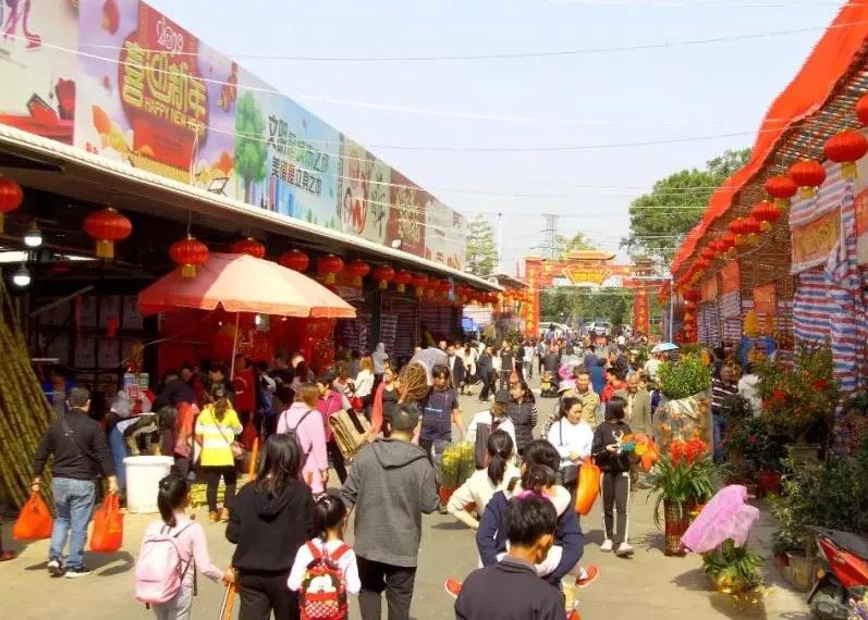 今年沙岗墟迎春花市有新玩法,嗨到爆!