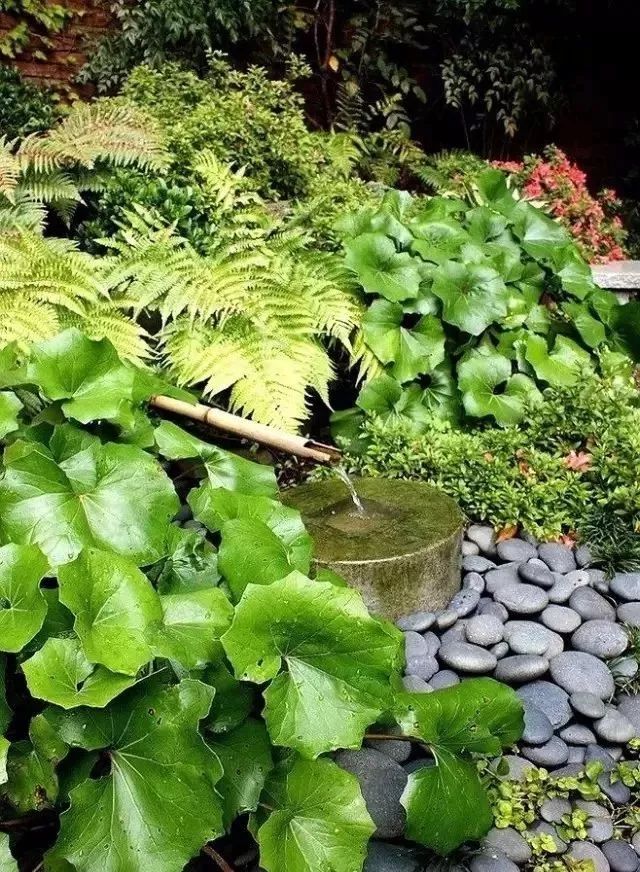 景观小品,让庭院更有情调!