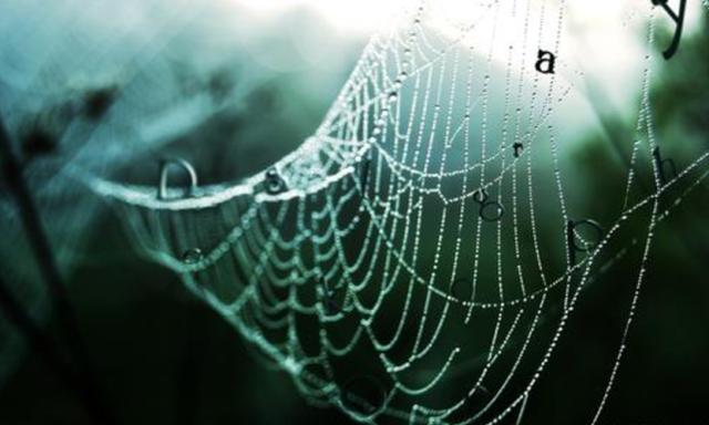 如果在未来的发展比较平稳的状态下制造出适用于阻拦索的一条蜘蛛丝