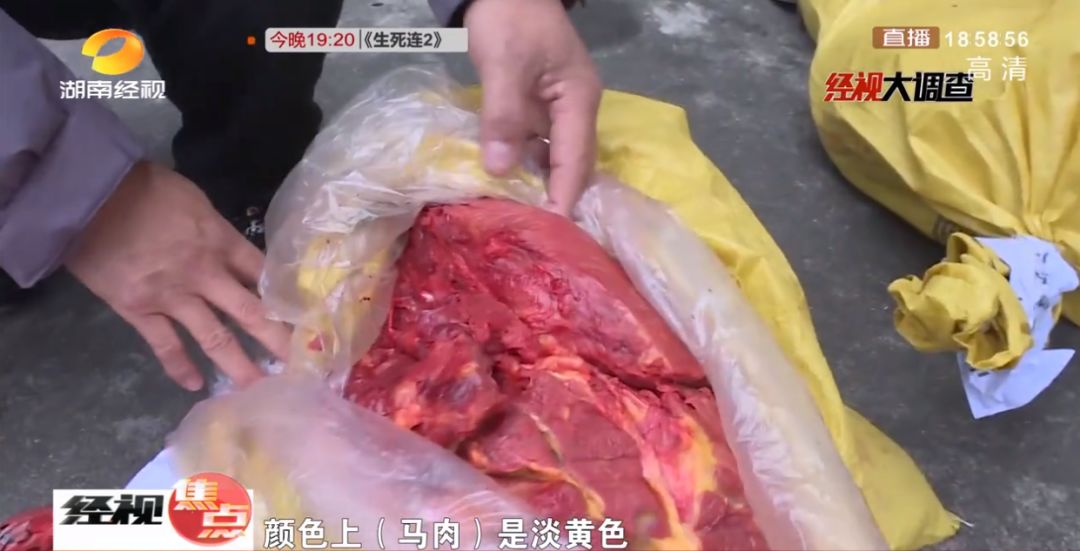 马肉冒充正宗黄牛肉?实拍注水屠宰,一天几千斤流入市场
