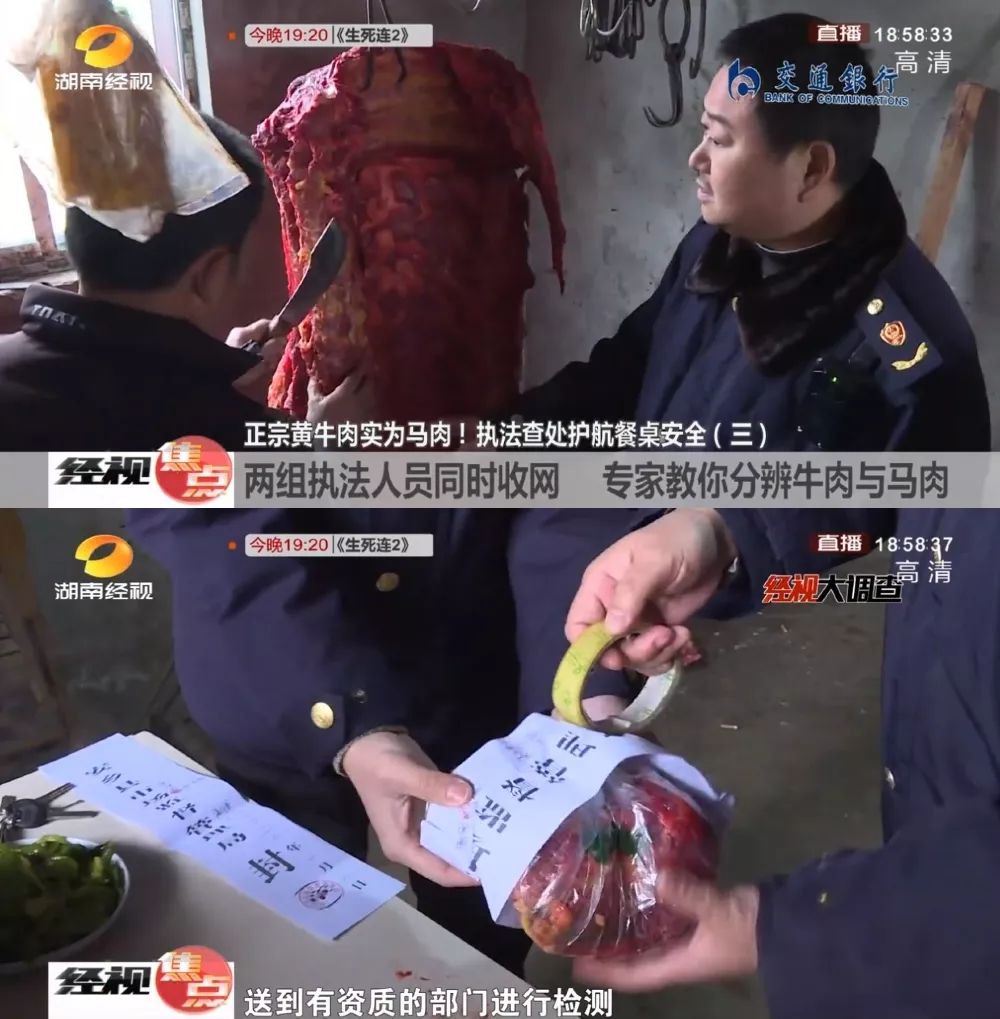 马肉冒充正宗黄牛肉?实拍注水屠宰,一天几千斤流入市场