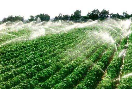 水利部:首个国家农业用水定额发布|水利部|农业灌溉_新浪新闻