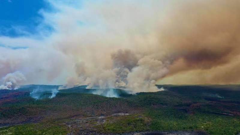 澳大利亚连续高温林火失控 世界自然遗产费沙岛森林近半被烧毁