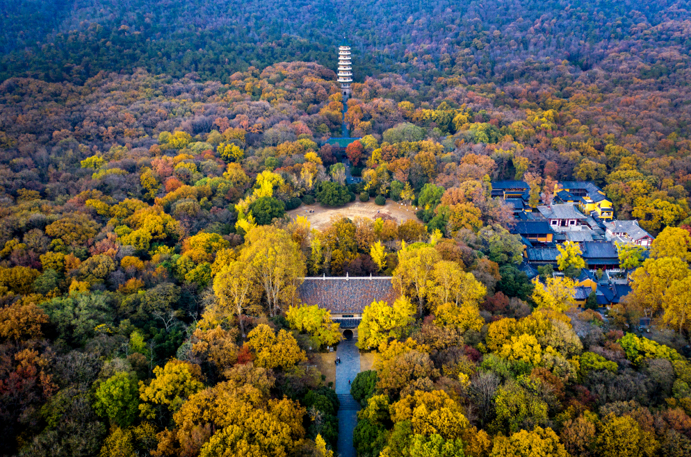 大美钟山"走起来"!快来领取你的装备吧