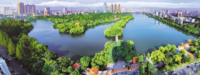 湖北省去年完成造林绿化448万亩