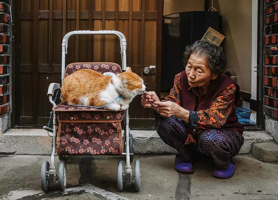 流浪汉假扮"亲孙子",骗了奶奶7年!奶奶却说:我心甘情愿