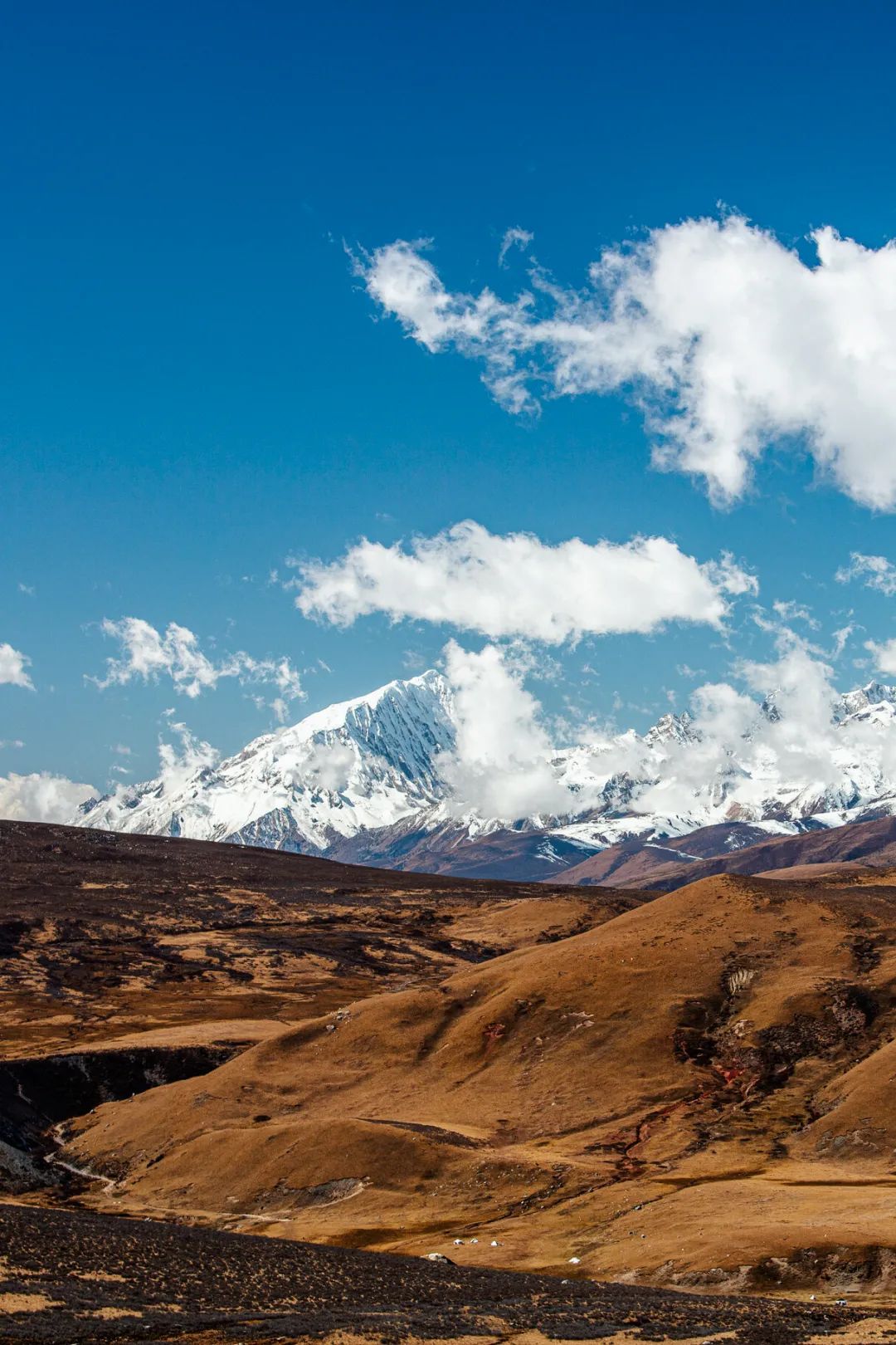 格聂神山肖扎峰.摄影/姜曦