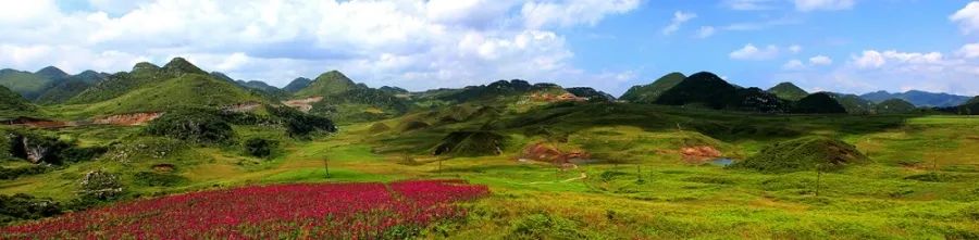 野鸡坪花海湿地风光(资料图)