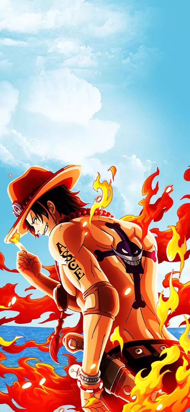 收藏系列海贼王高清壁纸