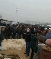 天寒地冻，皮草交易市场却是异常火爆 图片来源：红飞皮草齐先生供图