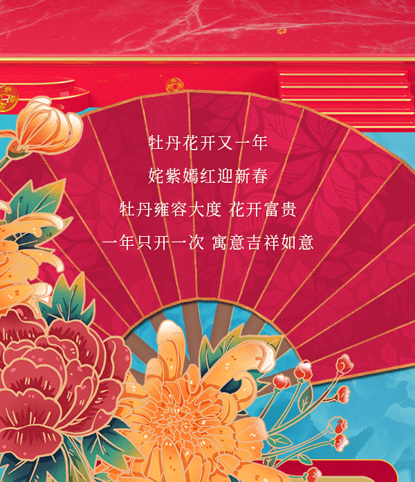 满屏牡丹花海惊艳全城，开启冬日赏花新玩法！|牡丹花_新浪新闻
