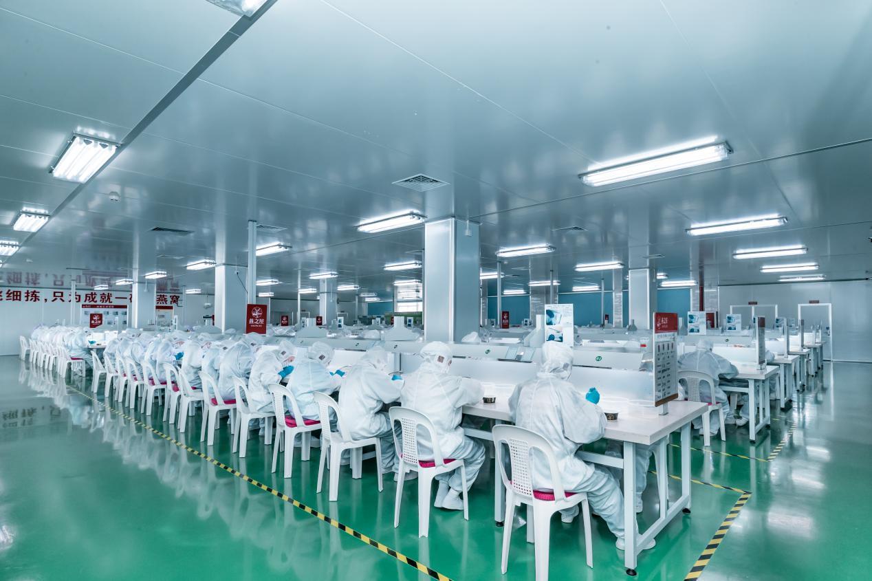 燕之屋透明工厂大展示燕窝生产流程很给力