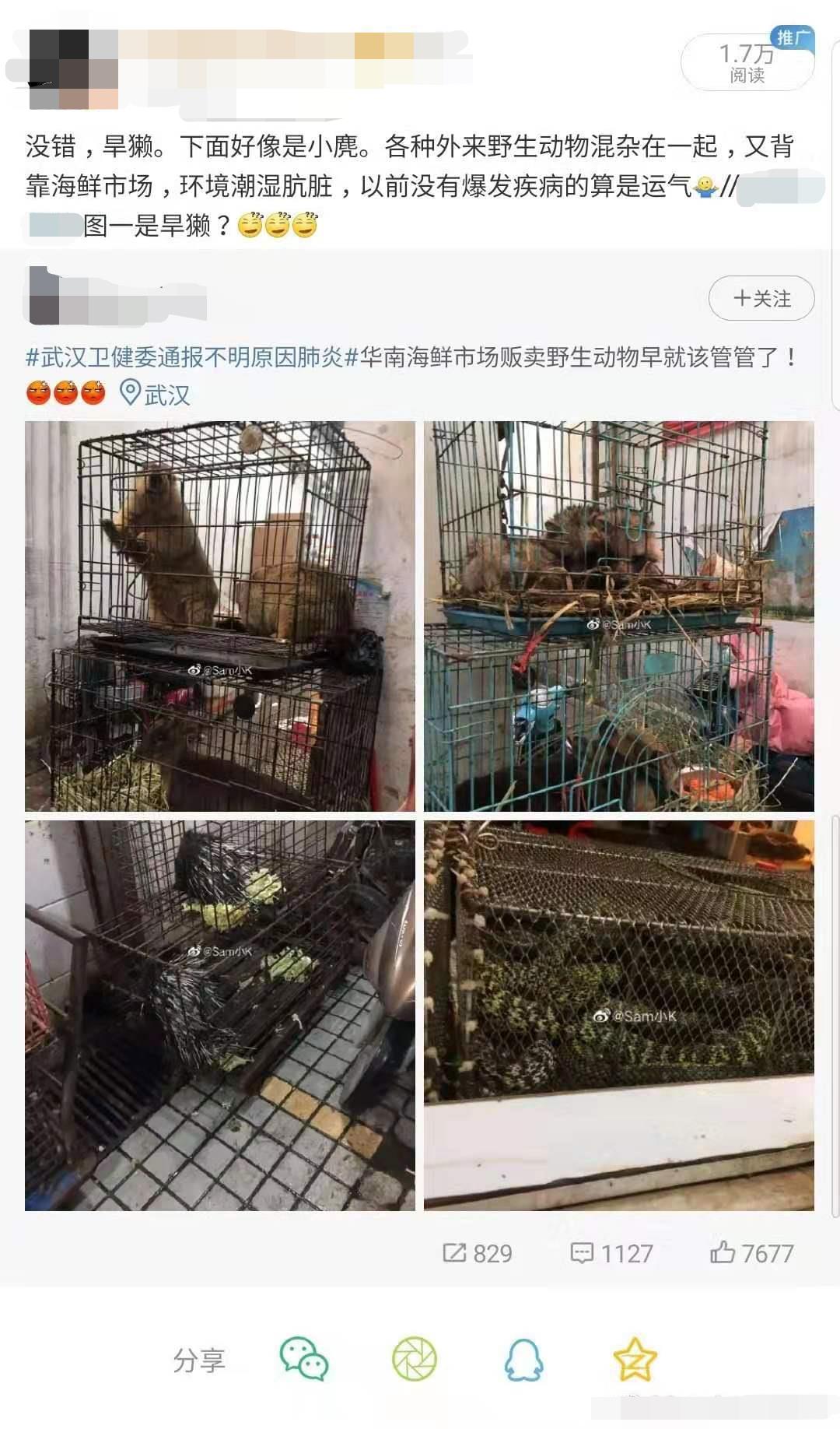 十七年前的野味端上了武汉人的餐桌