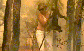  澳大利亚女子托妮脱下上衣，从火场中救出受困考拉。来源：视频截图