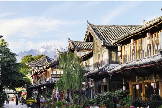 云南旅游占GDP_云南文旅总收入超1.2万亿年增均逾三成(2)