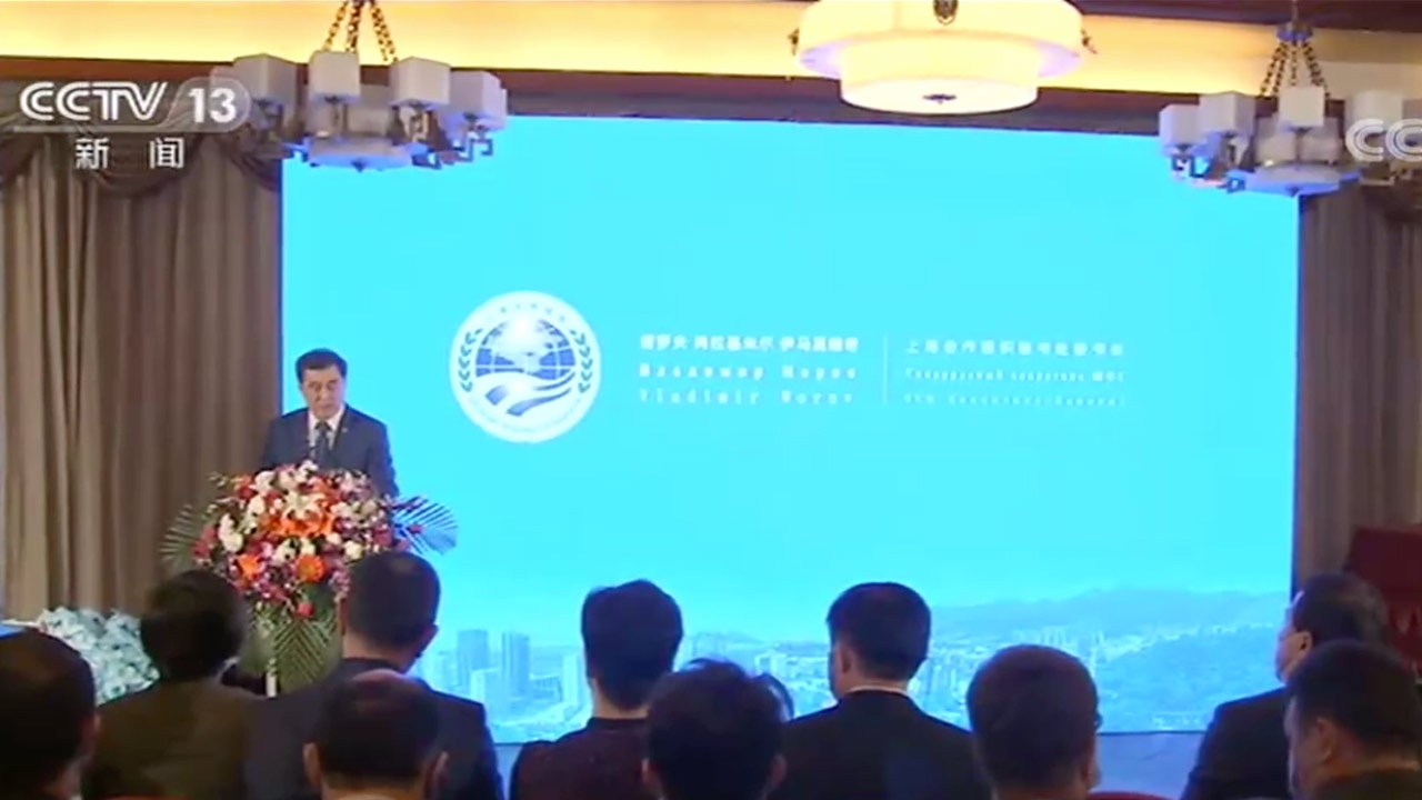 上合组织愿同中国加强电商和物流合作 共建有效的国际物流网络和体系