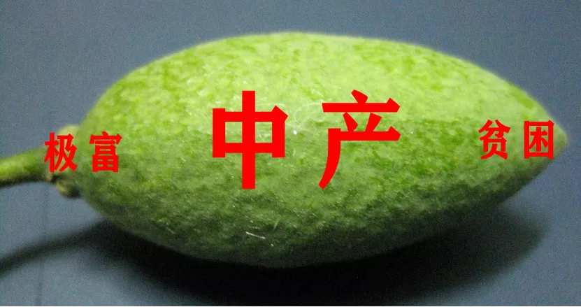 图10:橄榄型社会,来源:网络