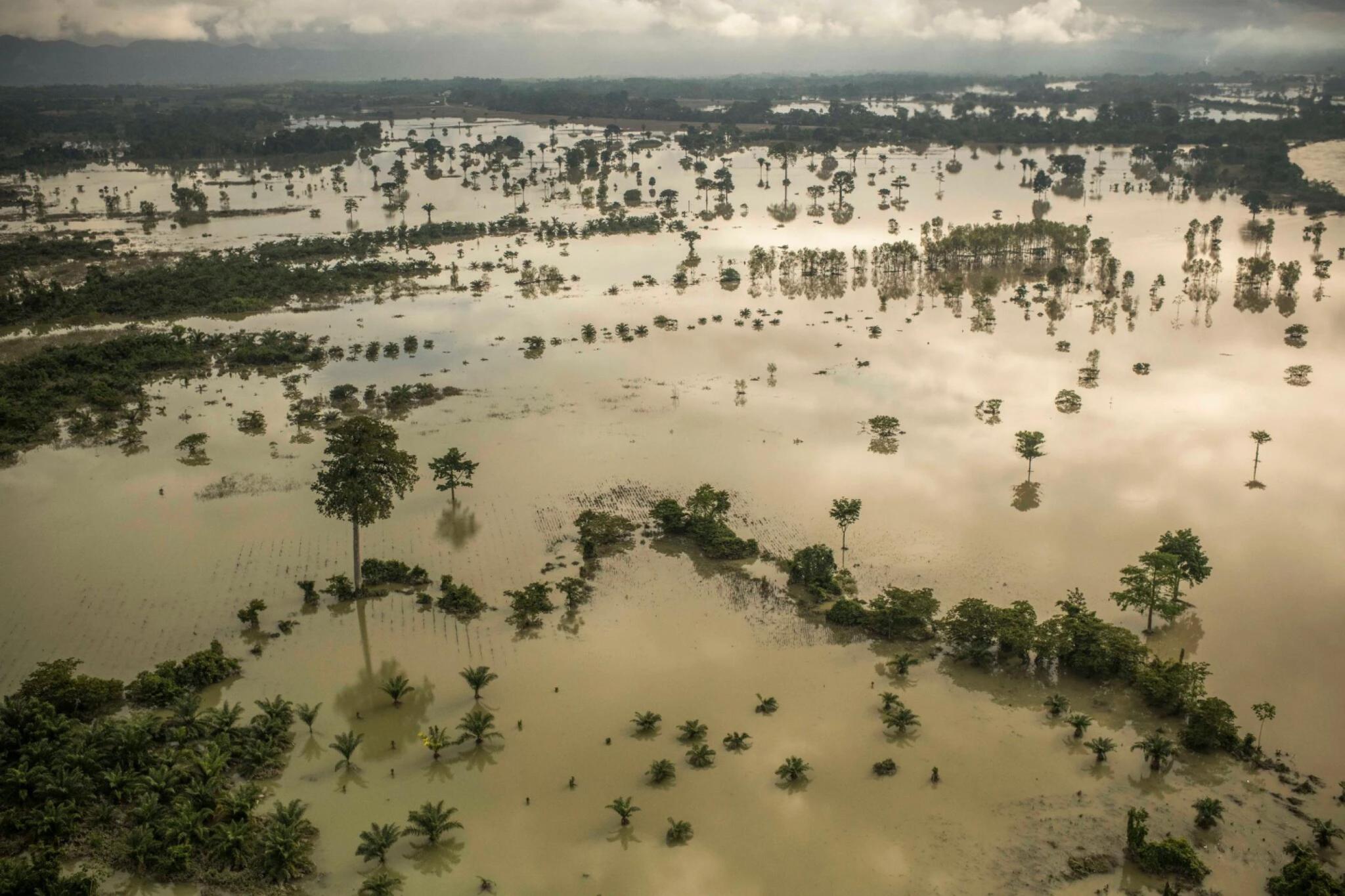△飓风袭击后，危地马拉大面积洪水。（图片来源：《纽约时报》）