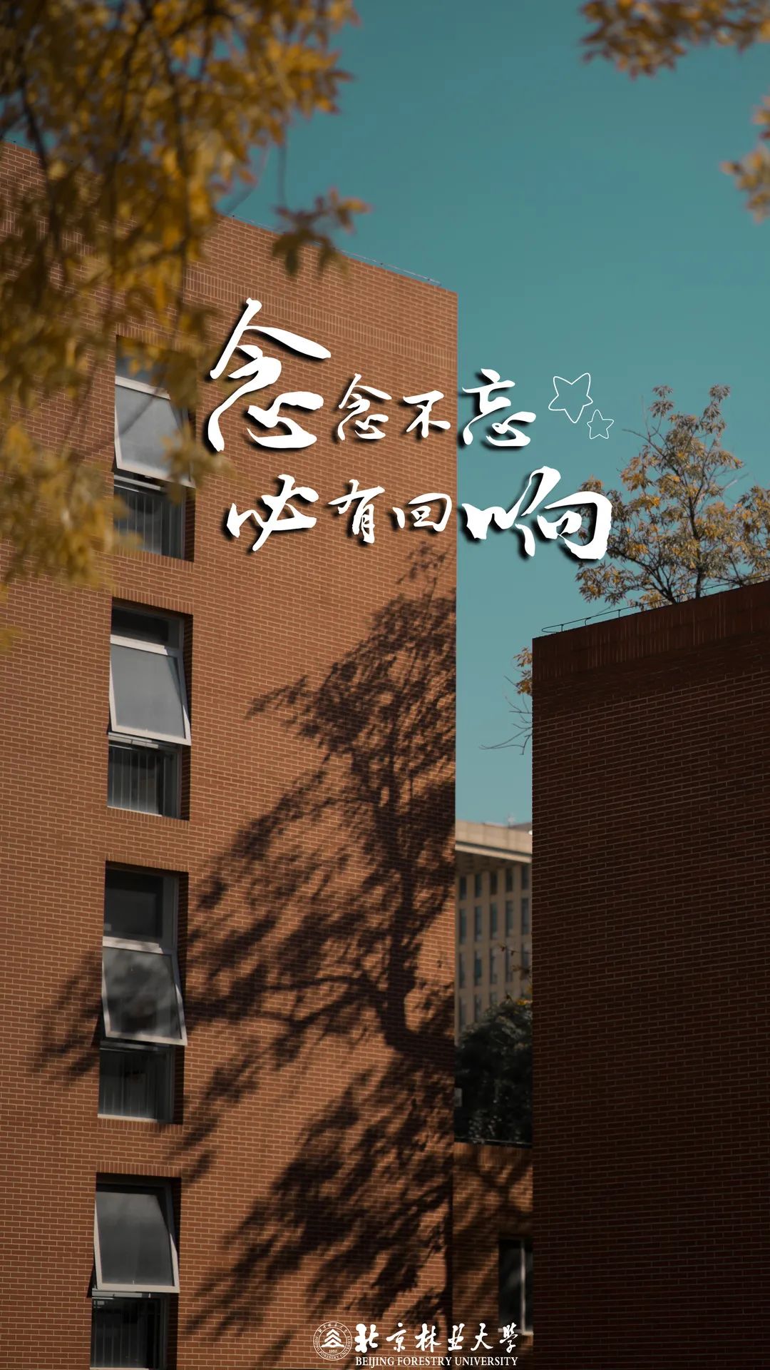 考完四六级我决定