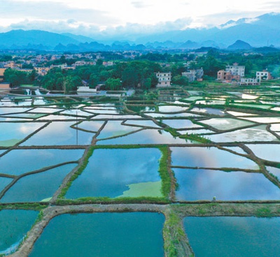 阡陌纵横特色发展寻找最美乡村清塘镇