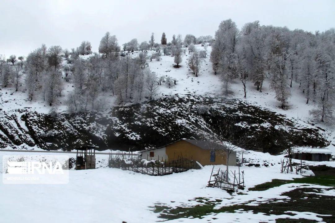 雾气弥漫,村庄与山更显朦胧,隐约可见村中小道,雪上的脚印,袅袅炊烟为