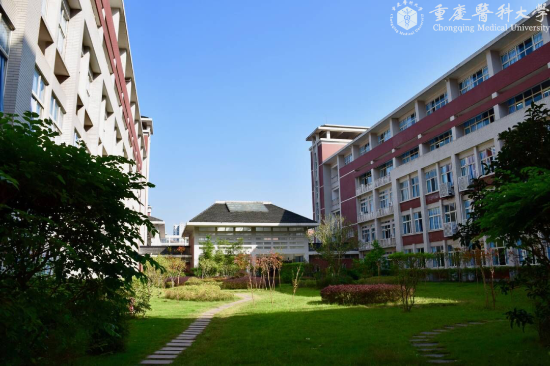 暖了手机电脑全都有重医壁纸新鲜出炉