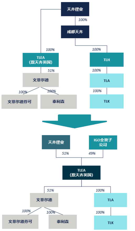 引入IGO前后的TLEA股权结构