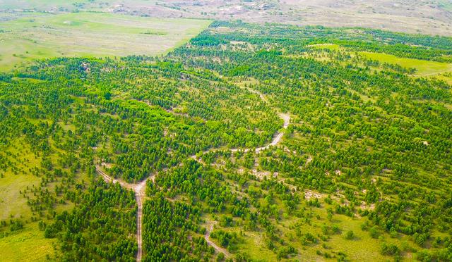 中国北方四大沙地生态状况改善沙化土地持续减少