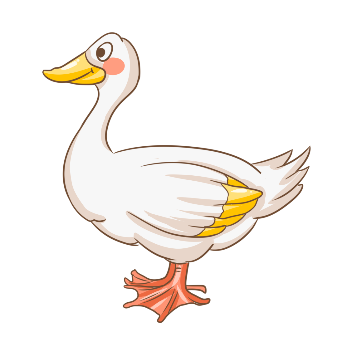 总是结伴而行成为校园里一道美丽的风景线小科普番鸭又称美洲香醇雁