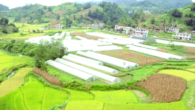 央行搭建金融扶贫大平台 六保一投模式支持黔南坝区建设