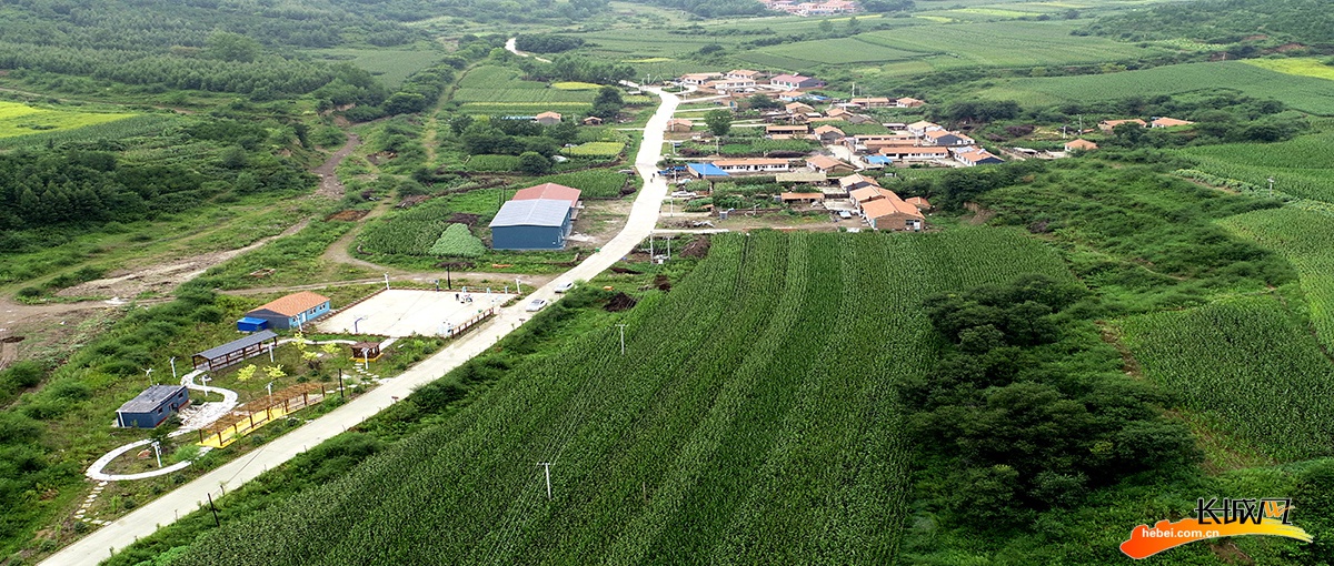我们的全村福丨承德市隆化县砬子沟村找准好产业走稳致富路