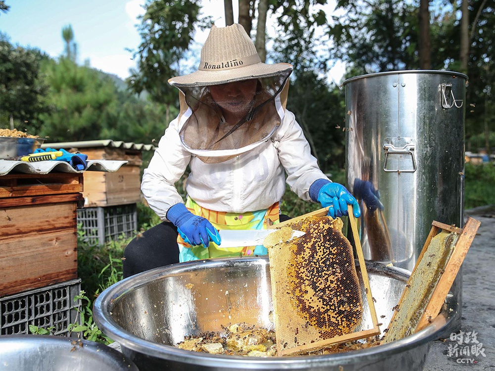 ��11��23�գ������������9�����ƶ�����˳�ƶ�������У���־���ҹ���ʱ����ƶ����Ŀ������������ɡ����ǹ���9�����ƶ����֮һ�������ش���չ�����·䡱��ҵ���ո���ۡ�