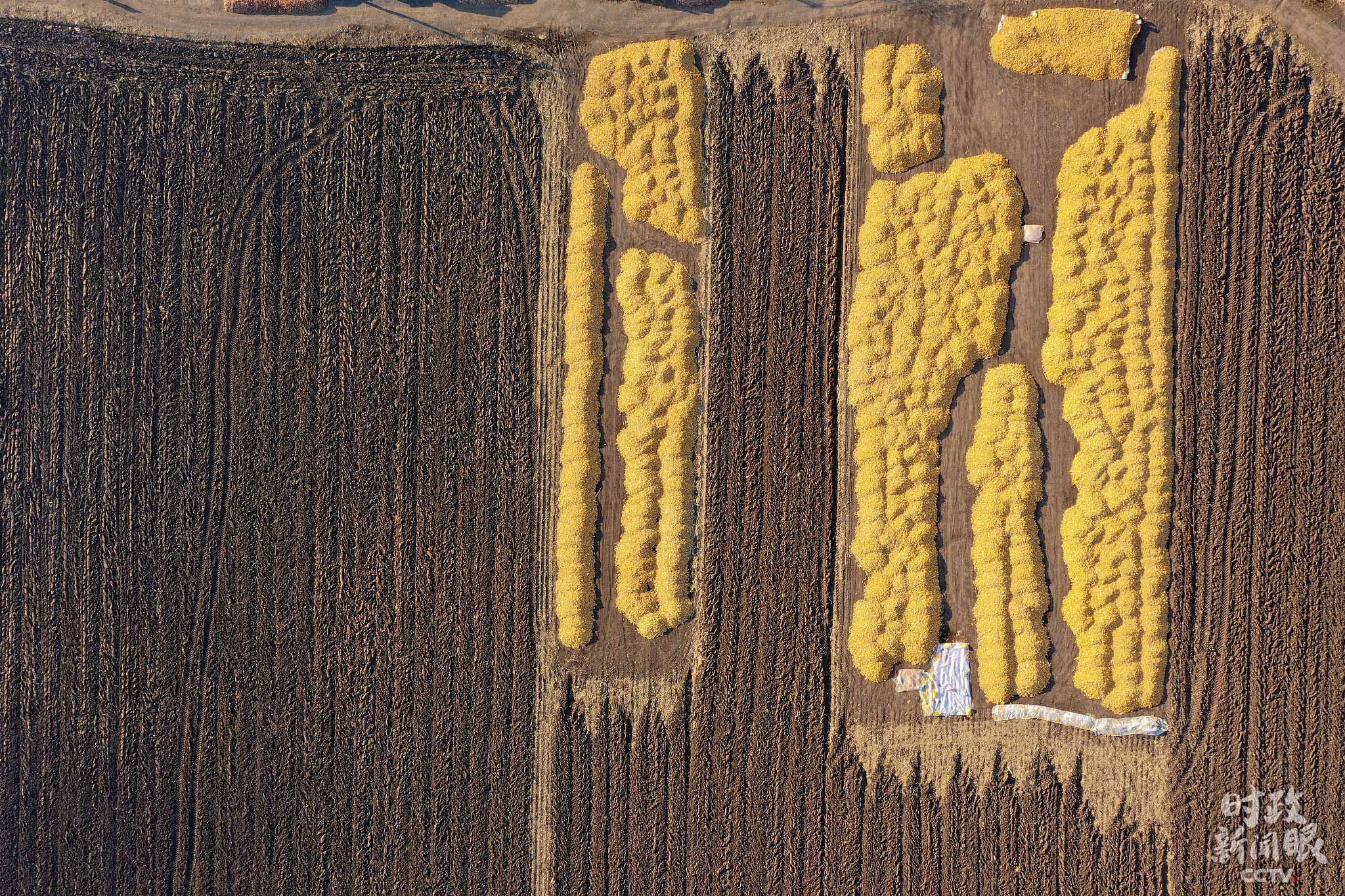 ���ɻ�����������������ĺ����ء�