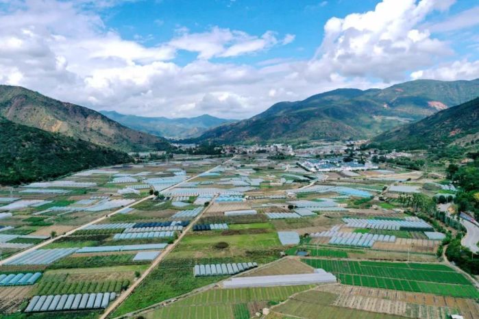 三峡助我奔小康云南峨山当移民变成化念人我们就成功了