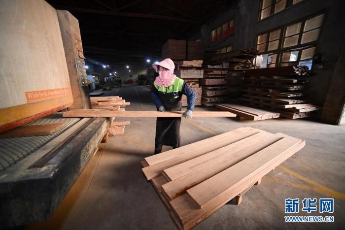 福建三明永安市洪田镇一家毛竹加工企业车间内,工人在生产竹板材(11月