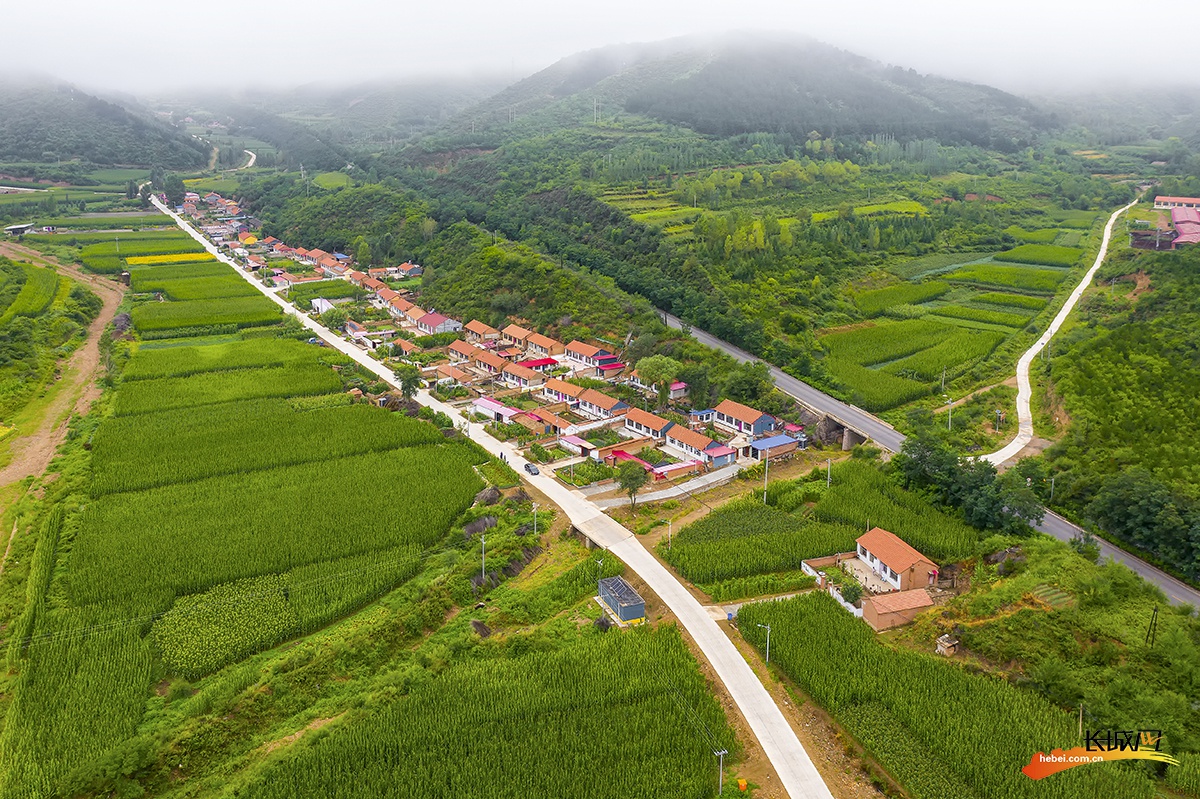 我们的全村福丨承德市隆化县泉眼沟村:产业夯实脱贫根基 村民走上致富