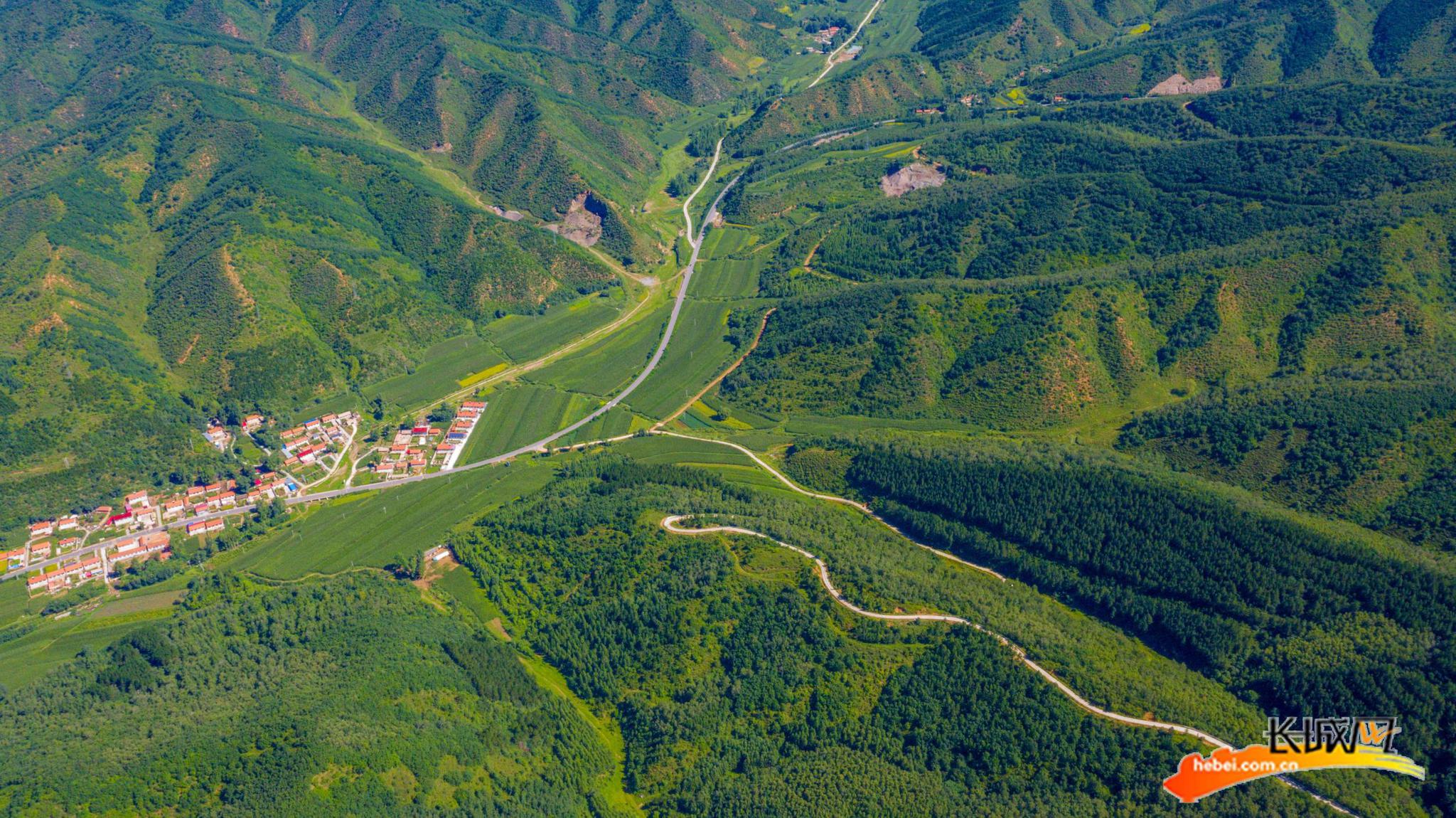 我们的全村福丨承德市隆化县茶棚村产业扶贫拓宽村民致富路