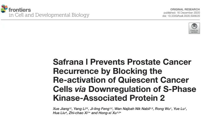 新闻我校首席教授徐宏喜团队西红花药理研究取得进展