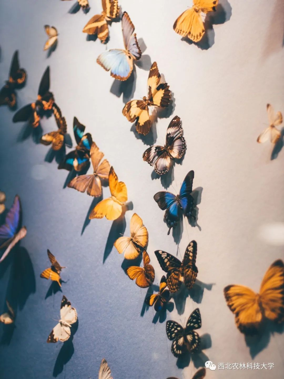 全新升级 一定要去 手机新浪网