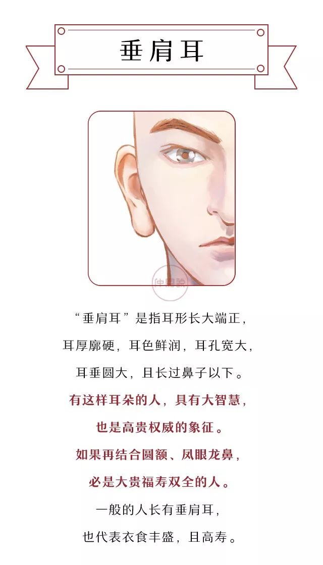 什么样的耳朵天生命好福气多?|耳朵|耳垂|运势_新浪新闻