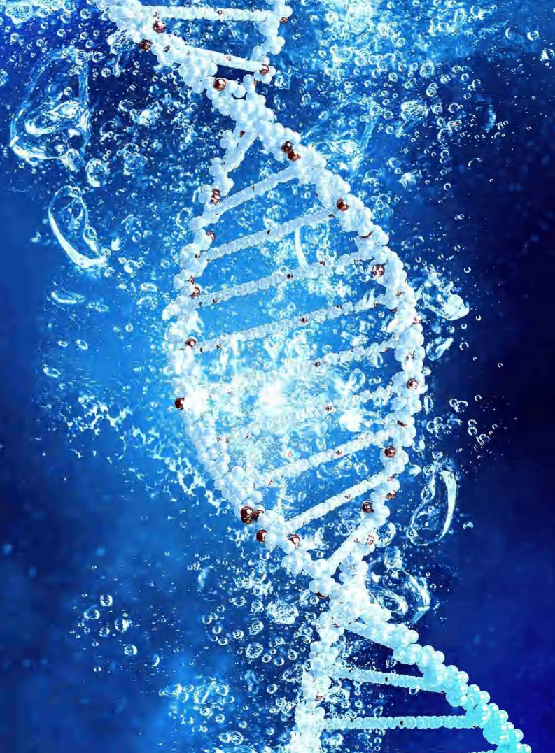 793_1077竖版 竖屏