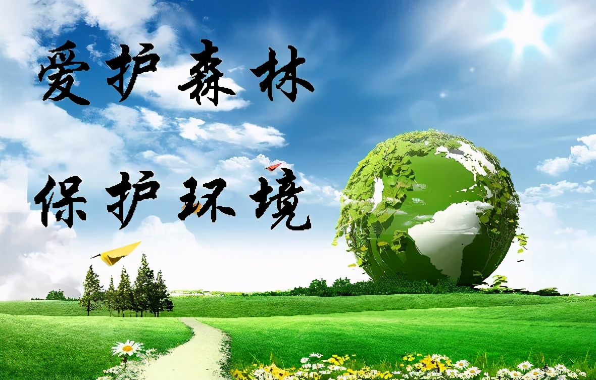 森林作为一种自然资源,具有生态,社会和财产的多重属性和价值,不仅